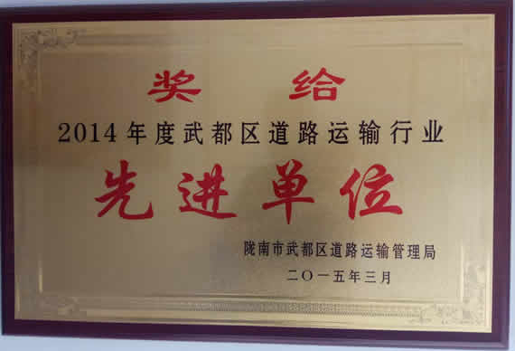 2014年武都區道路運輸行業先進單位